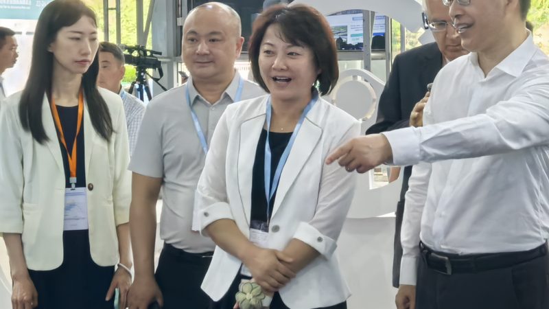 减震器型号参数揭秘：如何准确解读与选择**